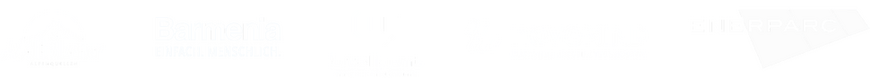 Mandantenlogos Logo von Mandanten: Adelholzer, Barmenia, b.telligent, Novomind, Eneparc